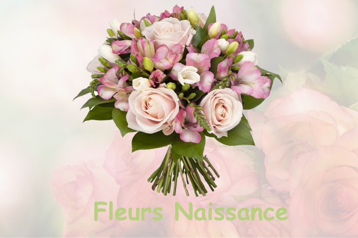 fleurs naissance MONTCEAUX-L-ETOILE